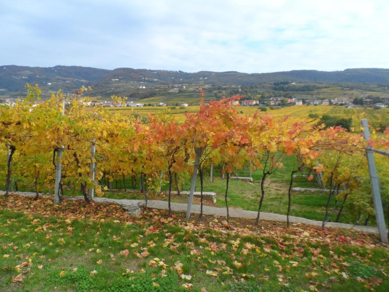 Hotel Villa Moron Неґрар Екстер'єр фото